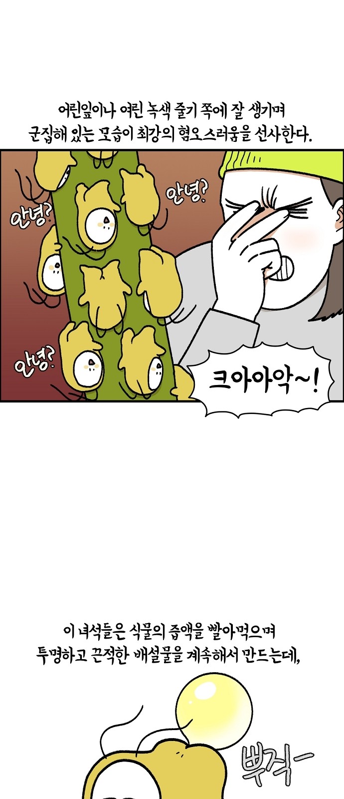 11 페이지