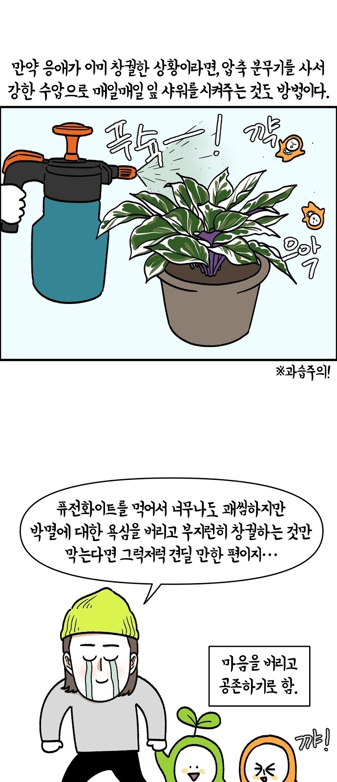 23 페이지