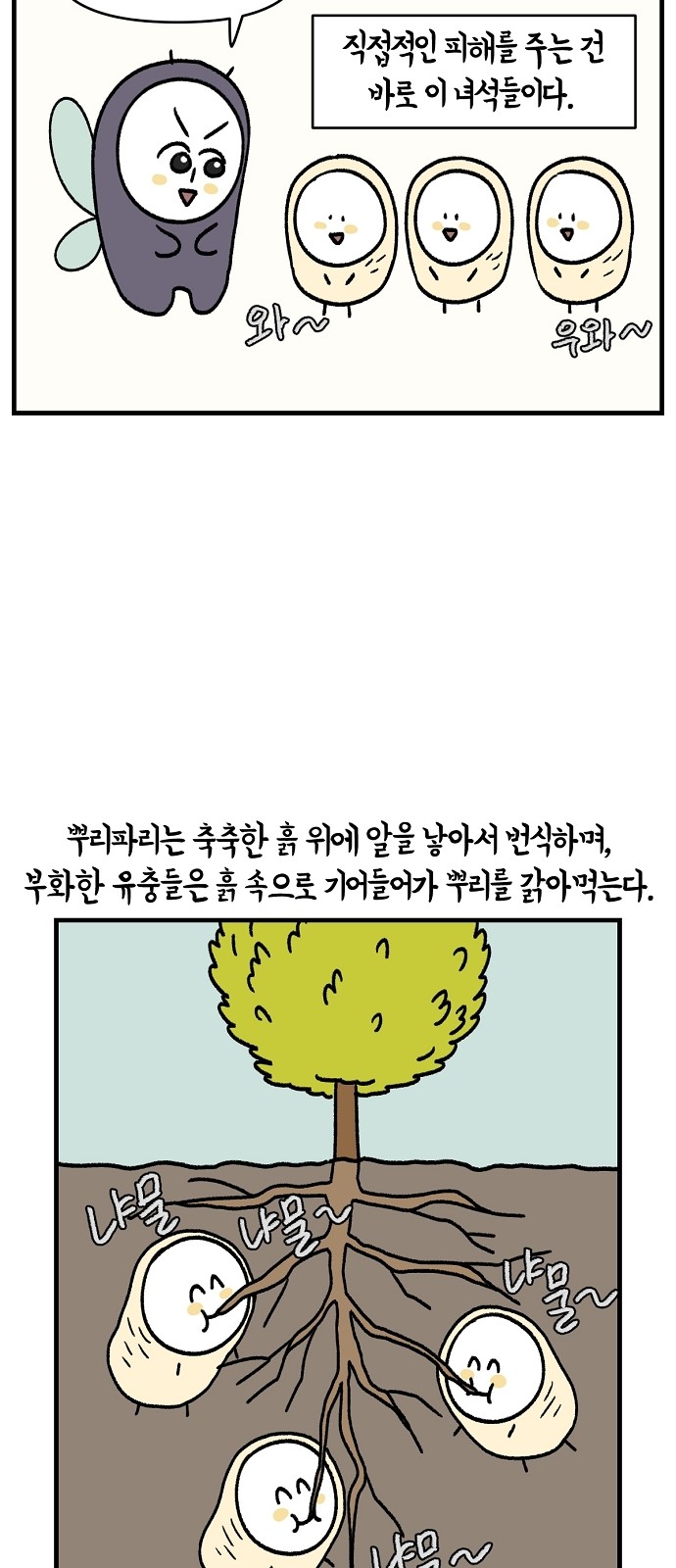 26 페이지