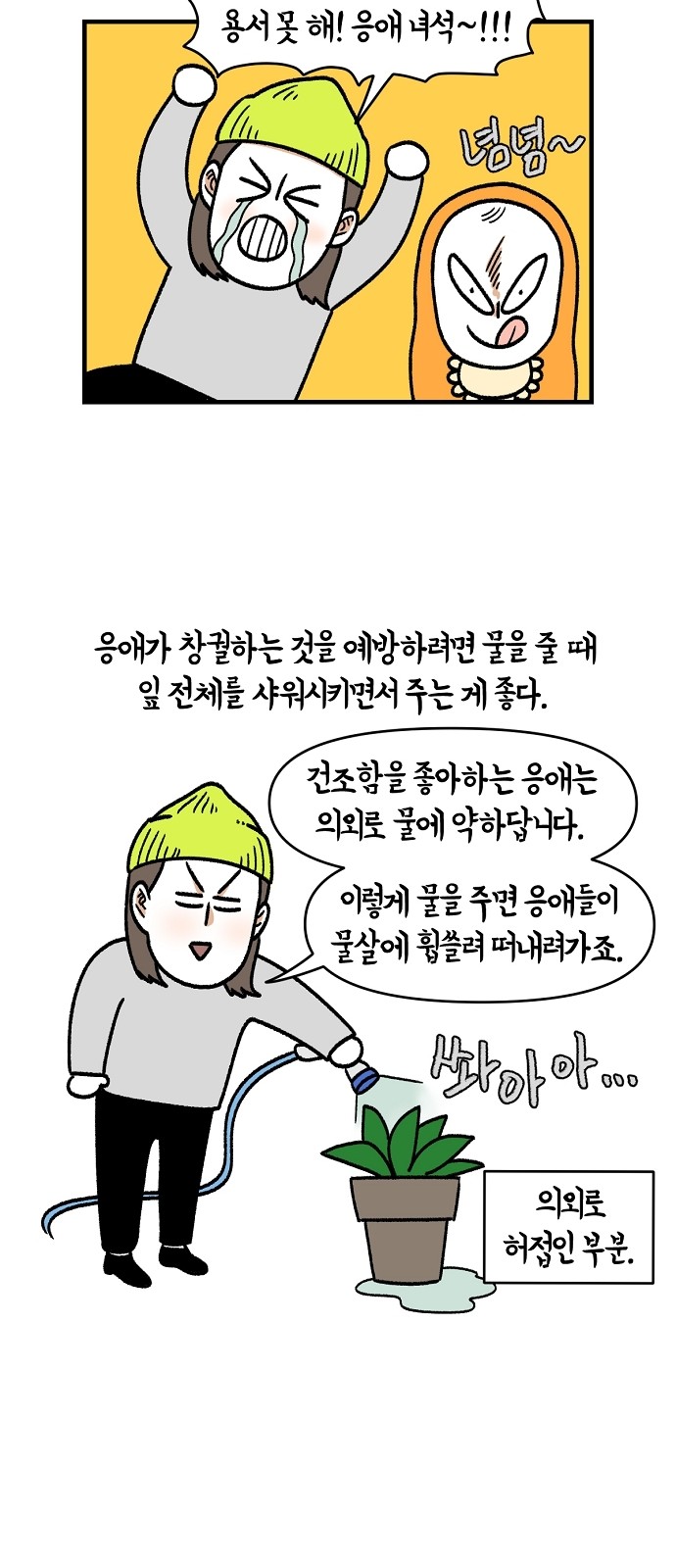22 페이지