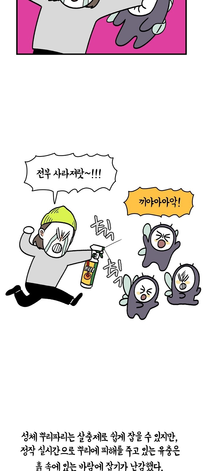 31 페이지