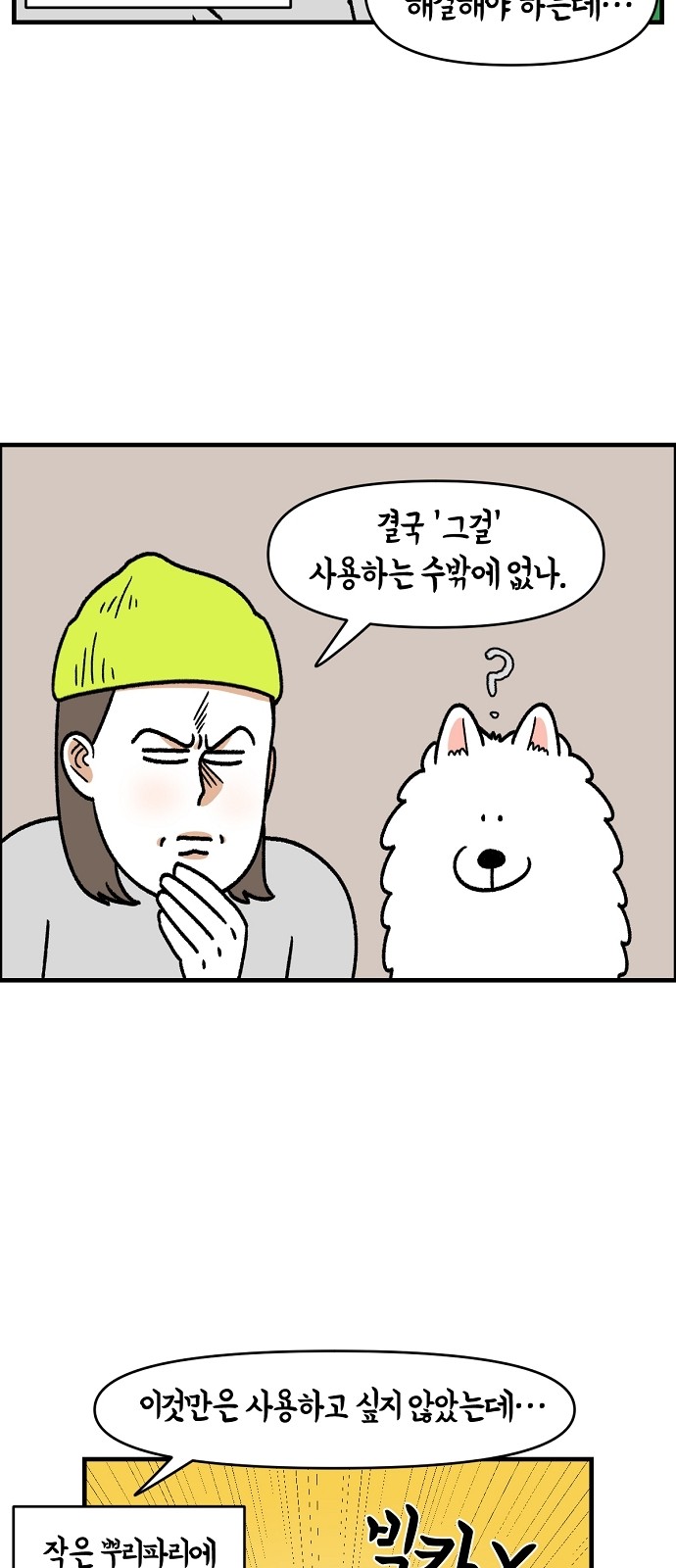35 페이지