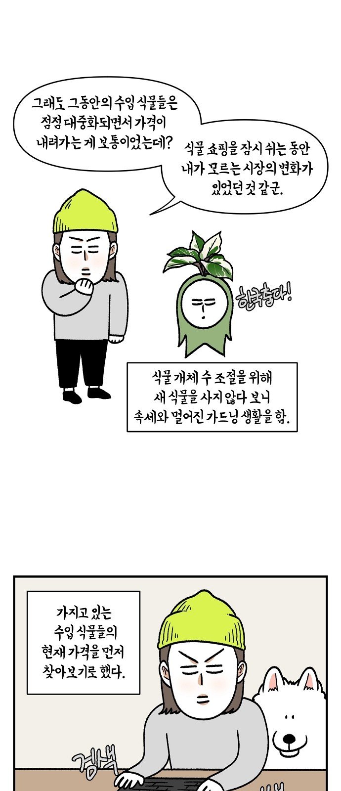 17 페이지