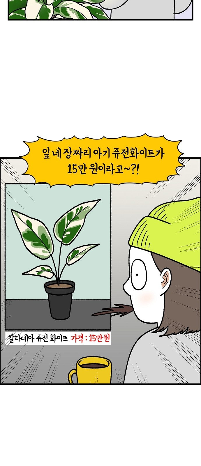 15 페이지