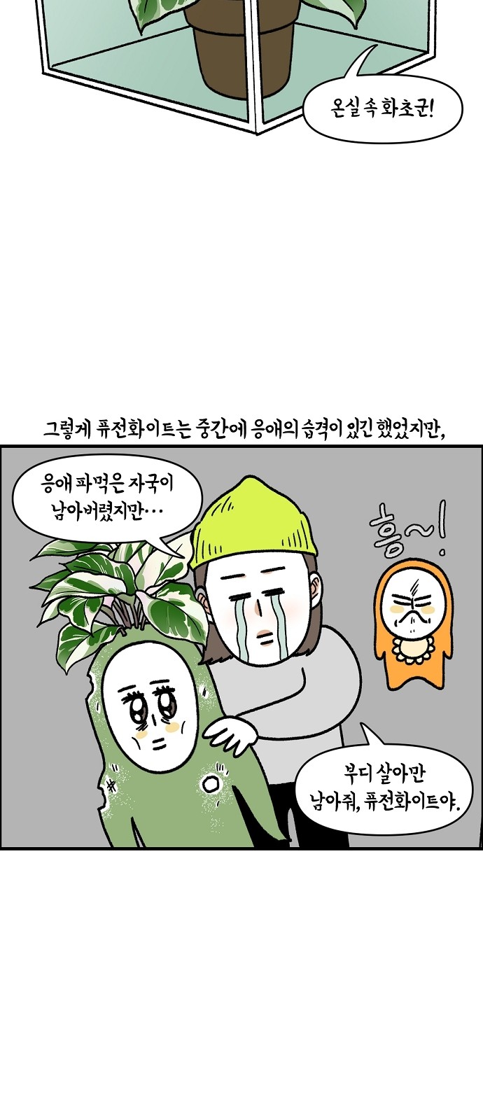 13 페이지