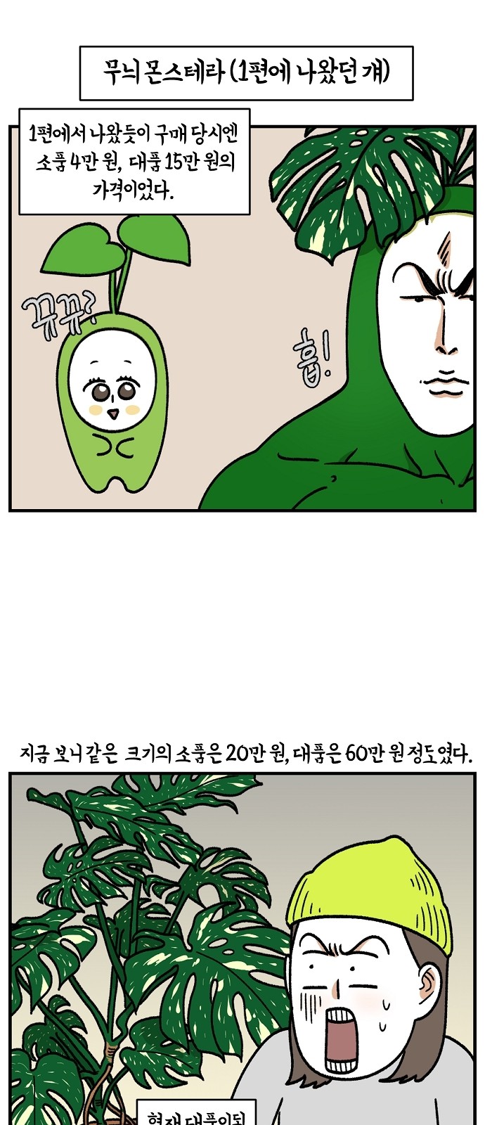 19 페이지