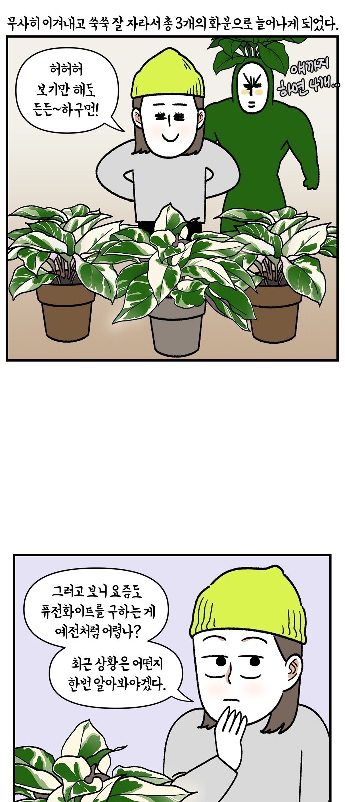 14 페이지
