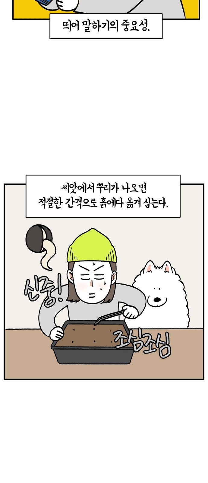 6 페이지