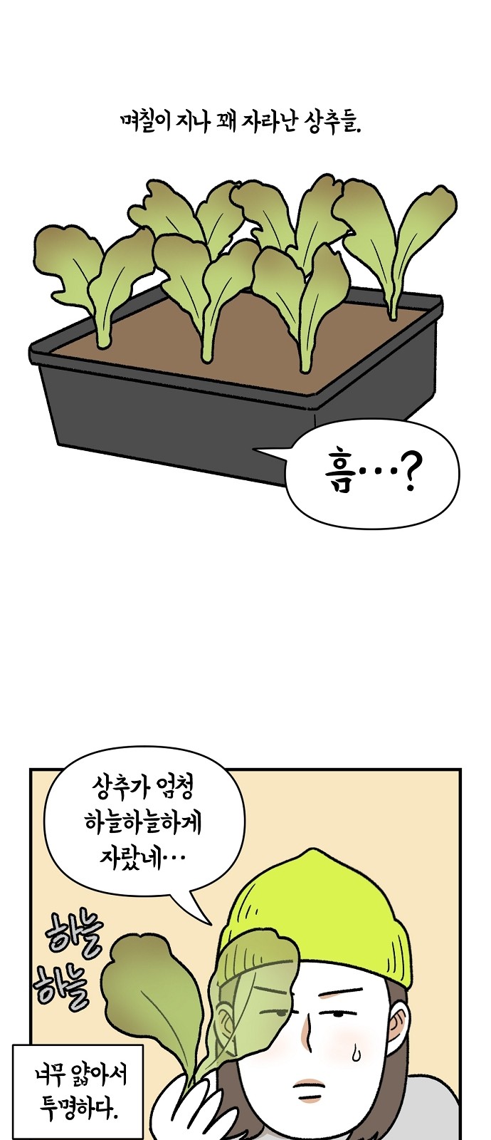 7 페이지