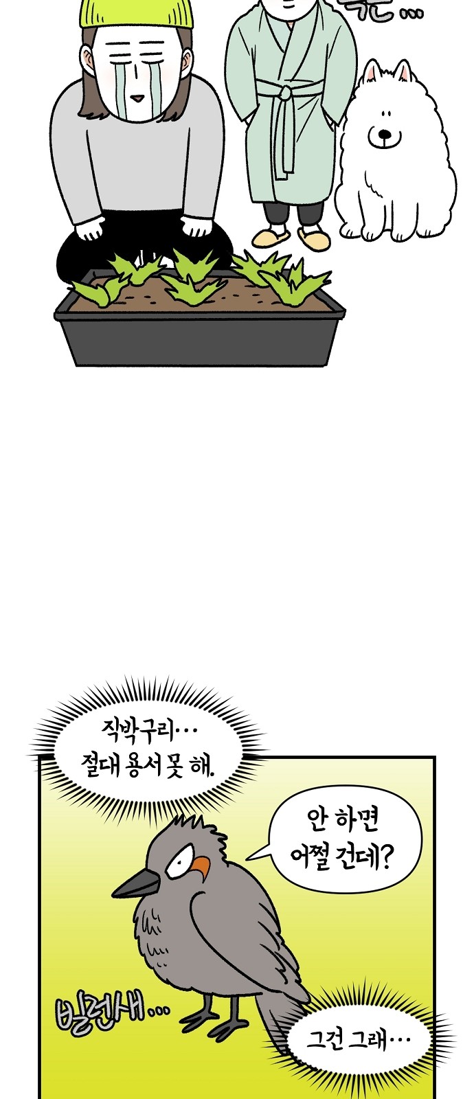 24 페이지