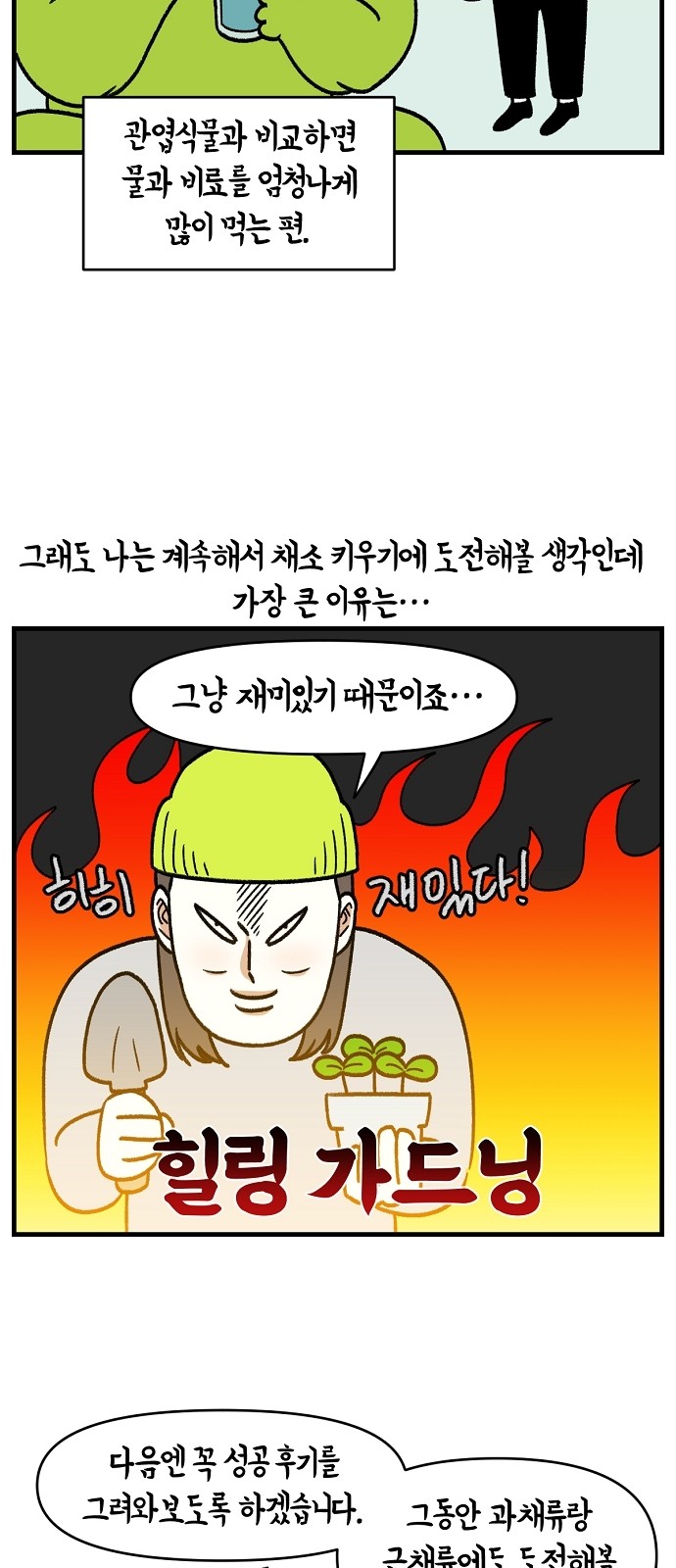 36 페이지
