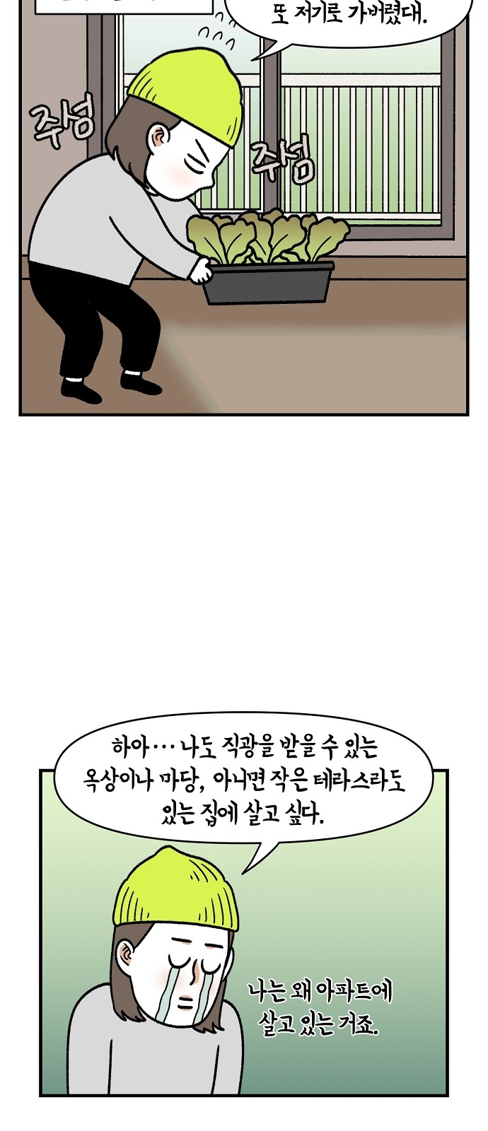 17 페이지