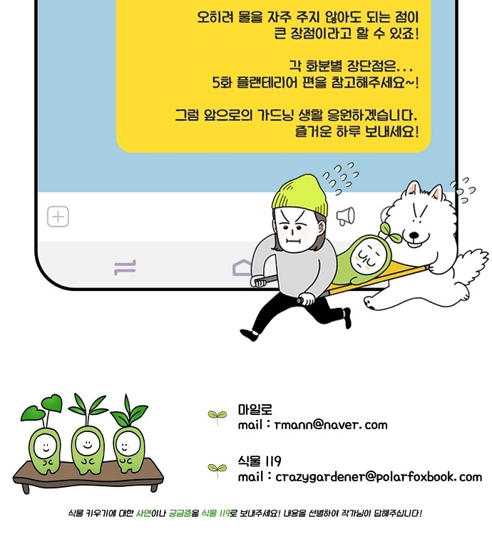 45 페이지