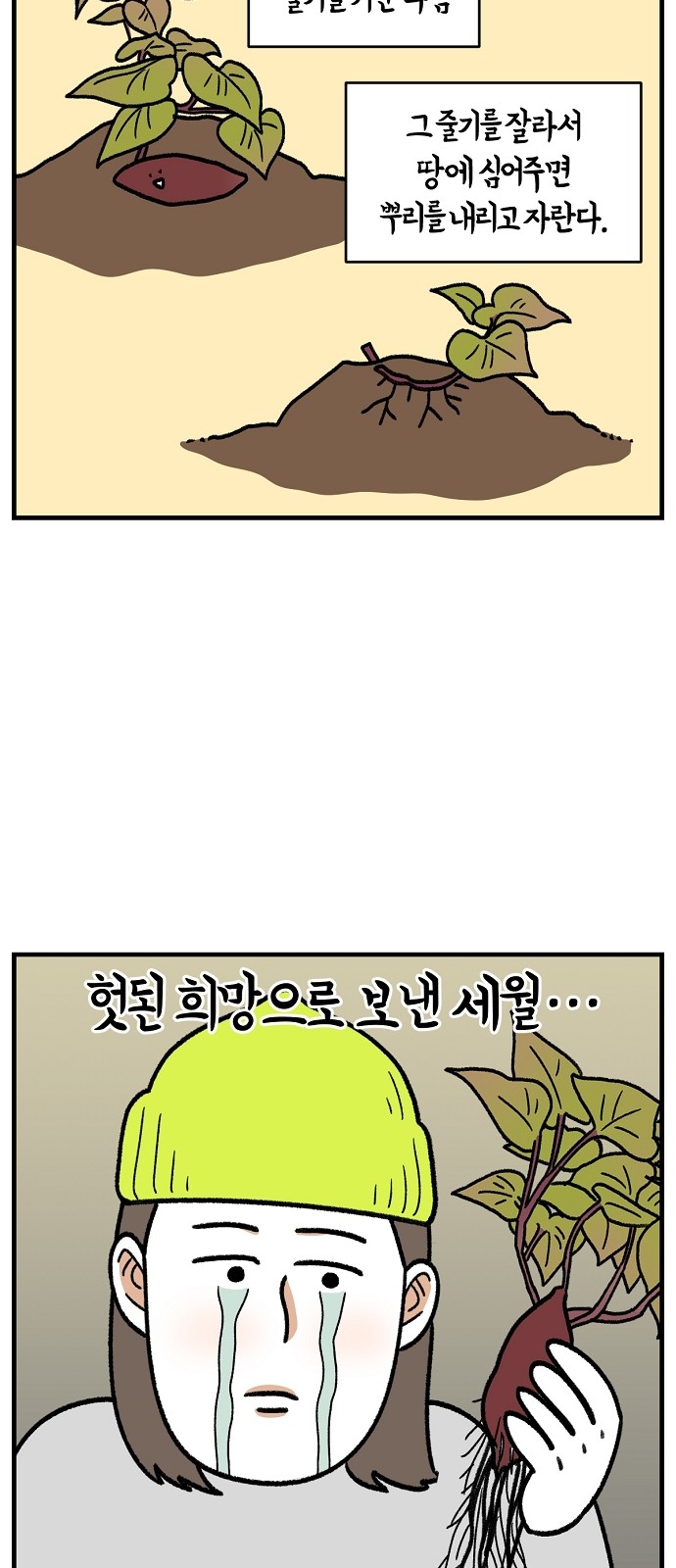 42 페이지