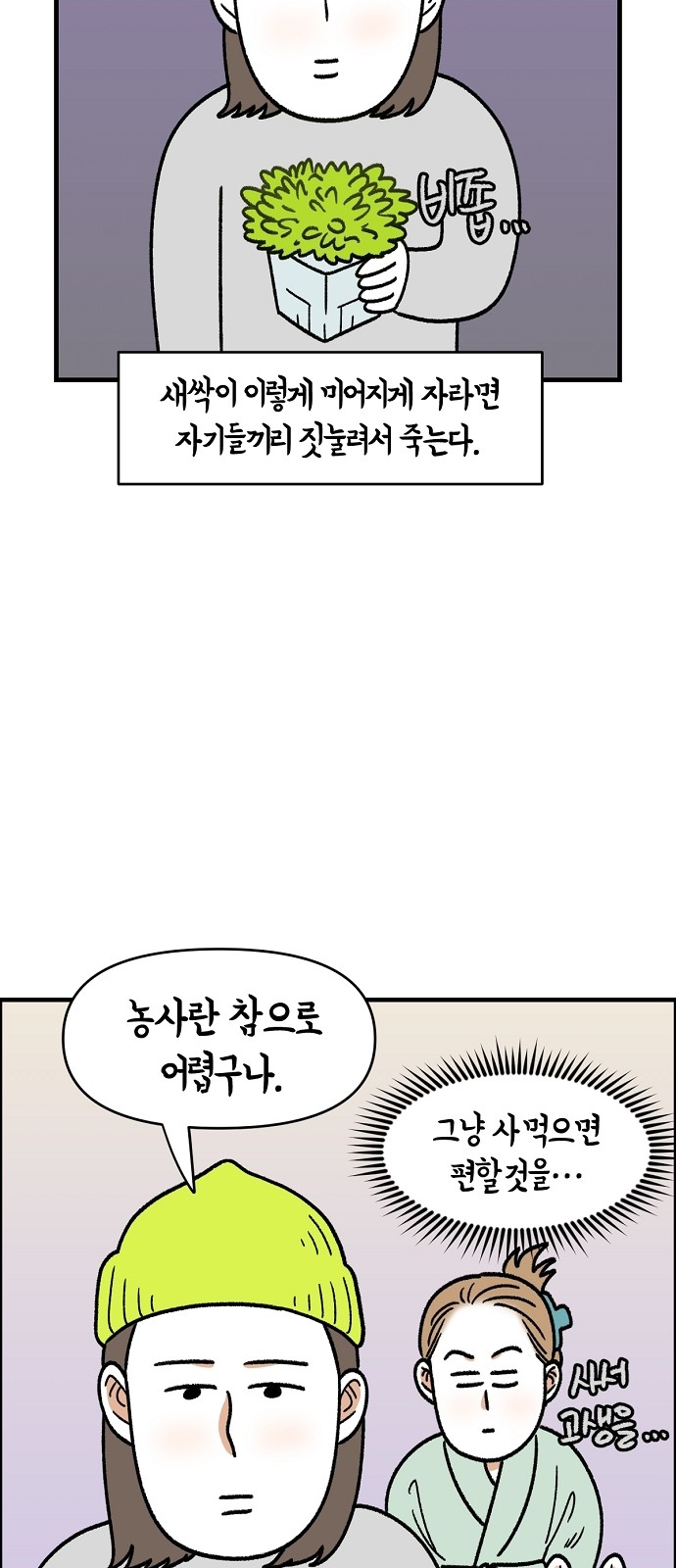 33 페이지