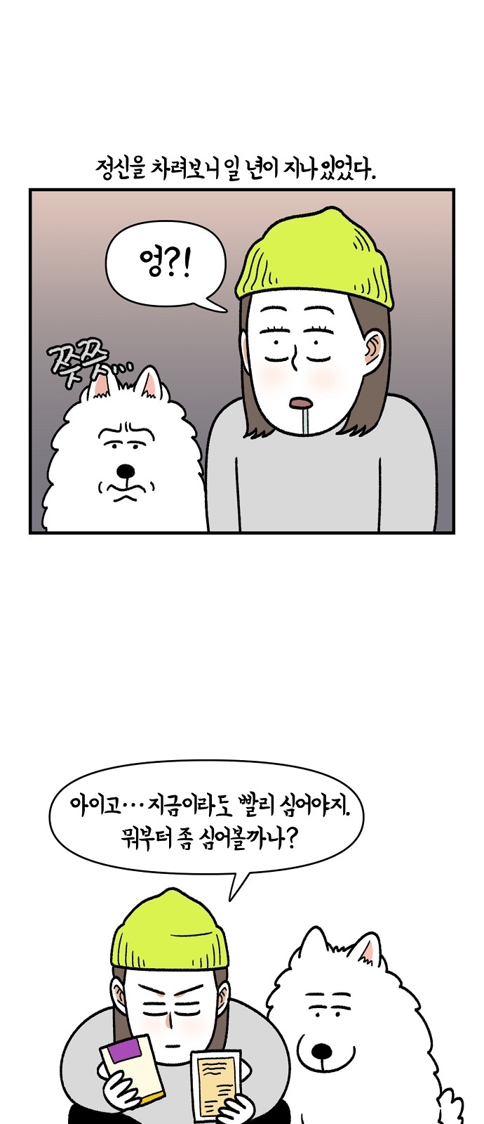 27 페이지