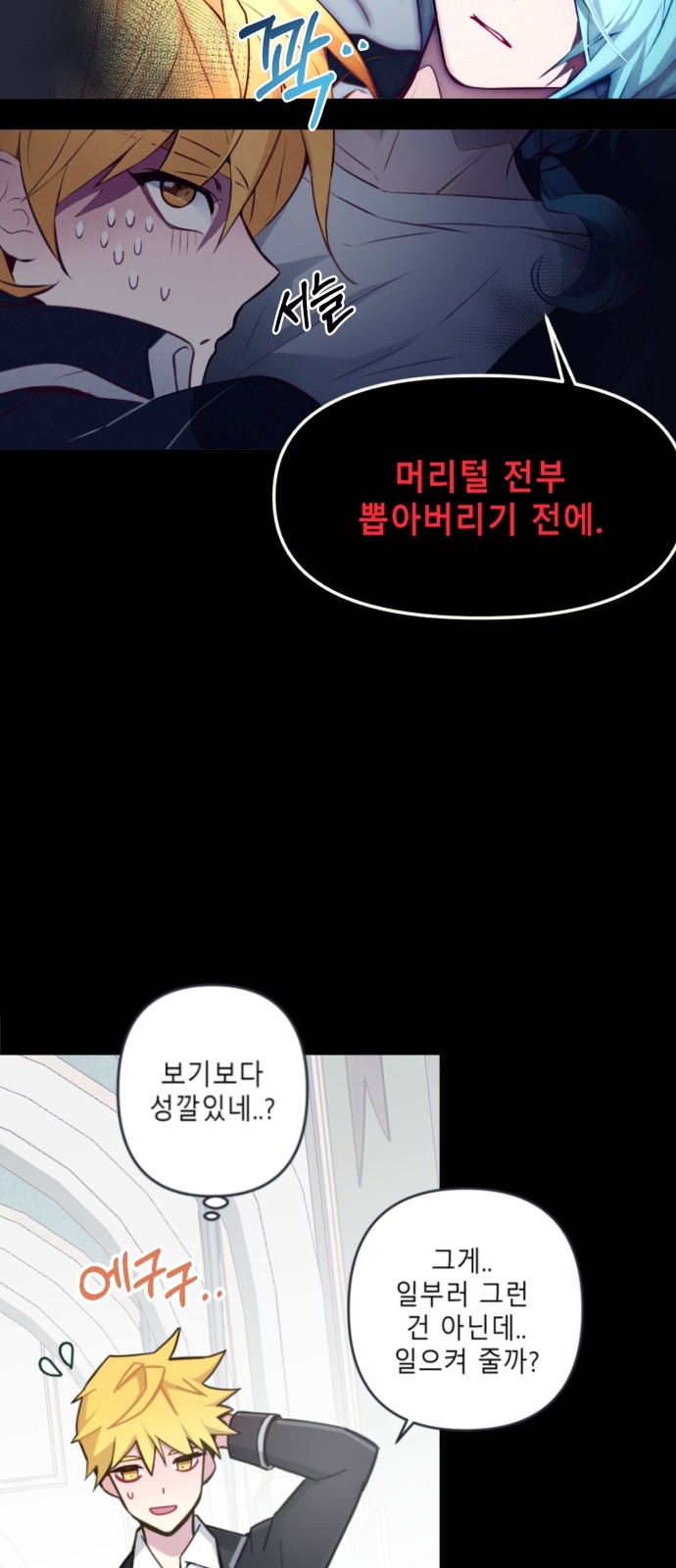 15 페이지