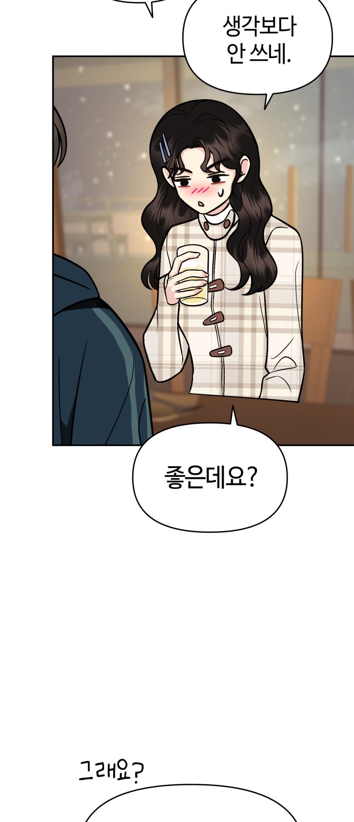25 페이지