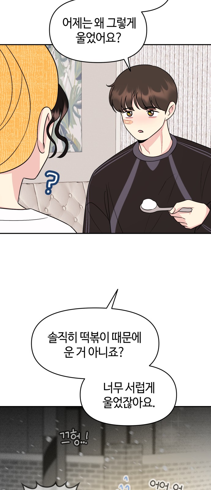 52 페이지