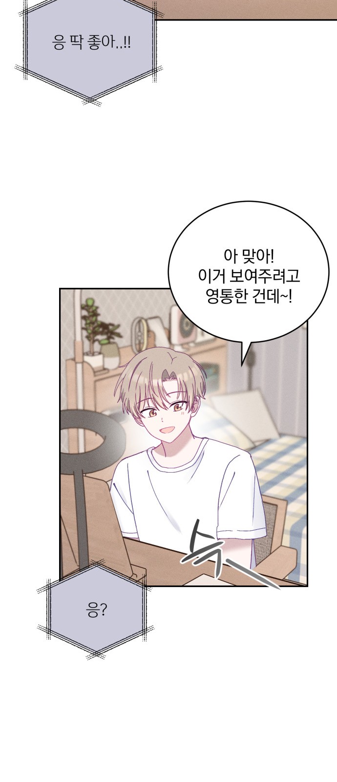 46 페이지