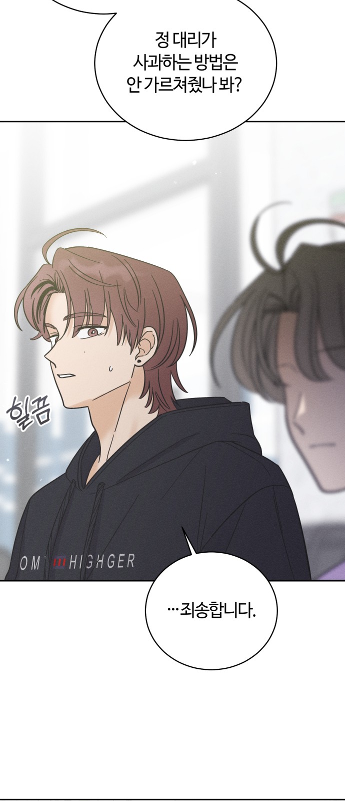 43 페이지