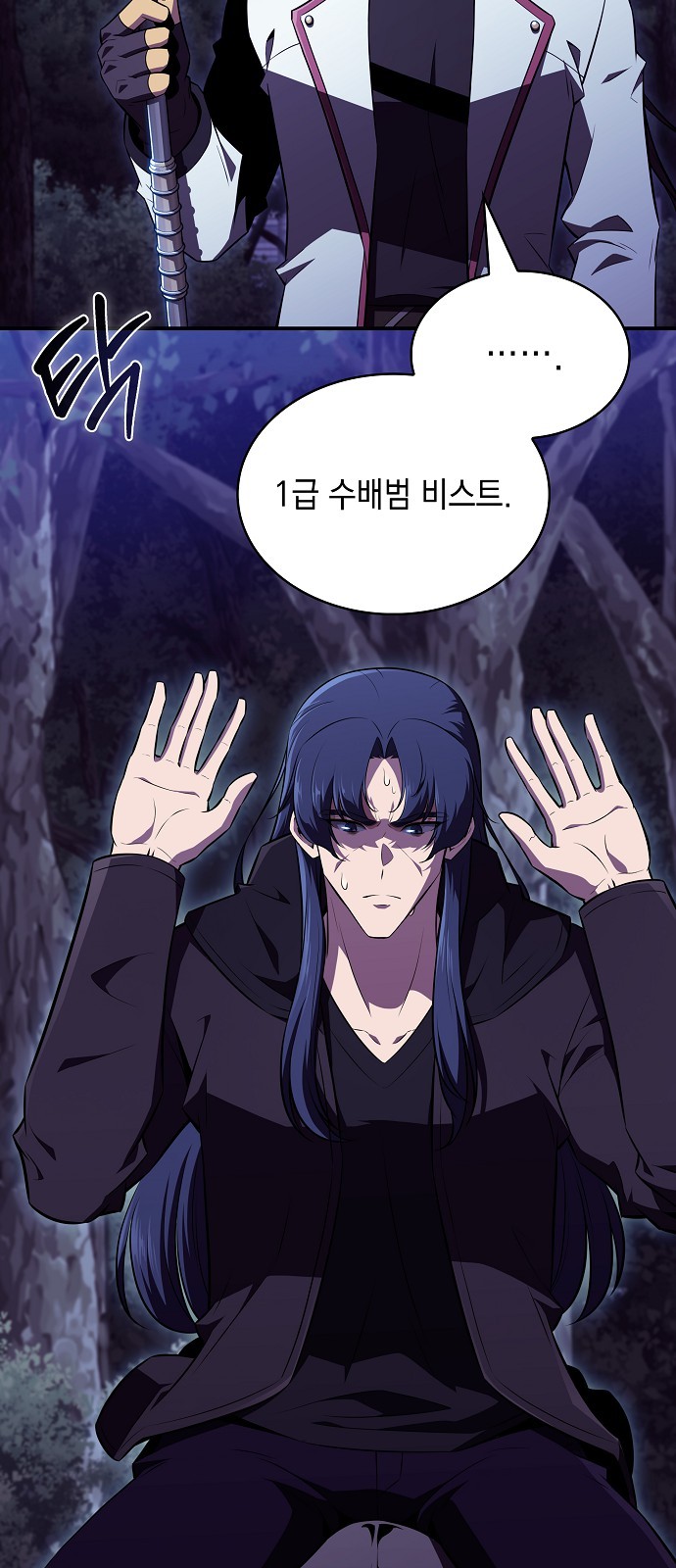 66 페이지