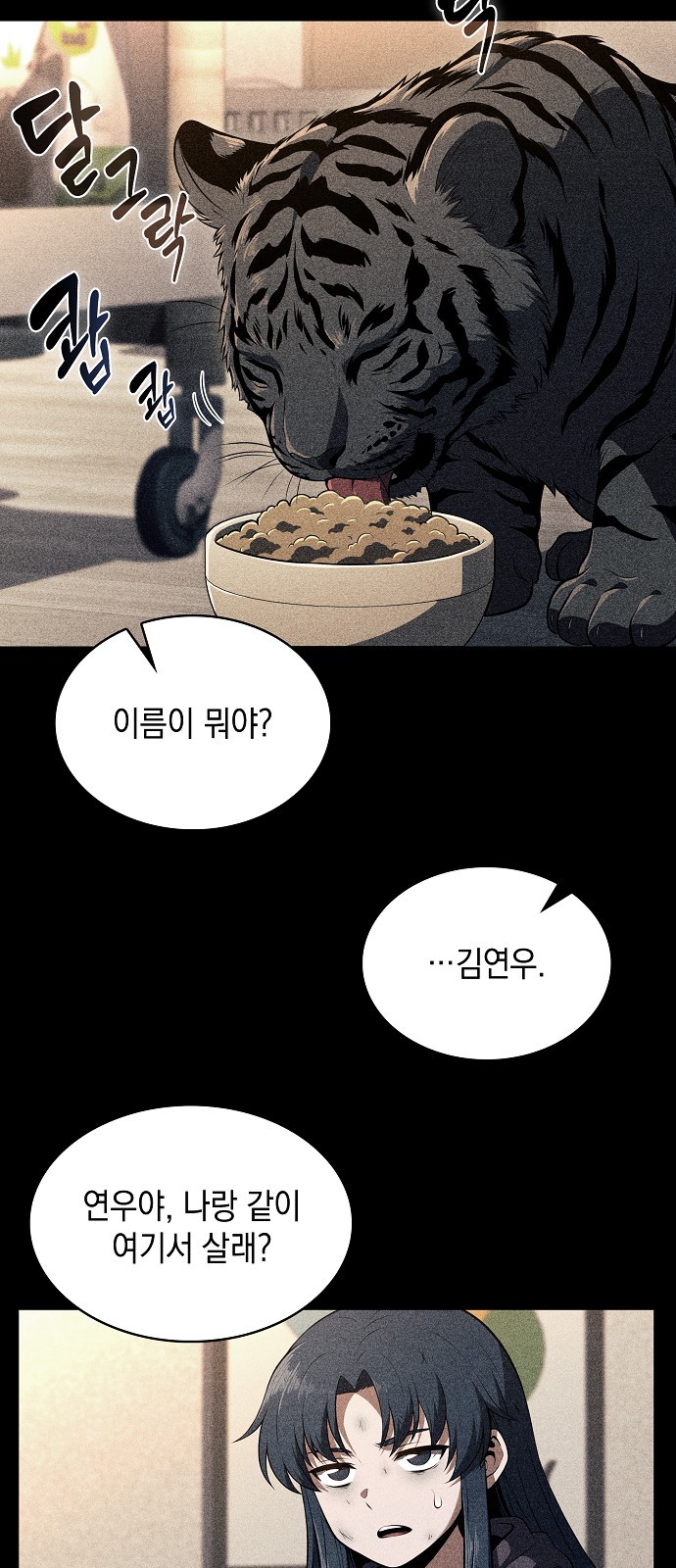 14 페이지