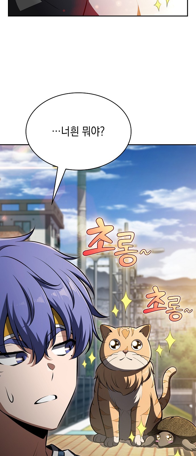 47 페이지