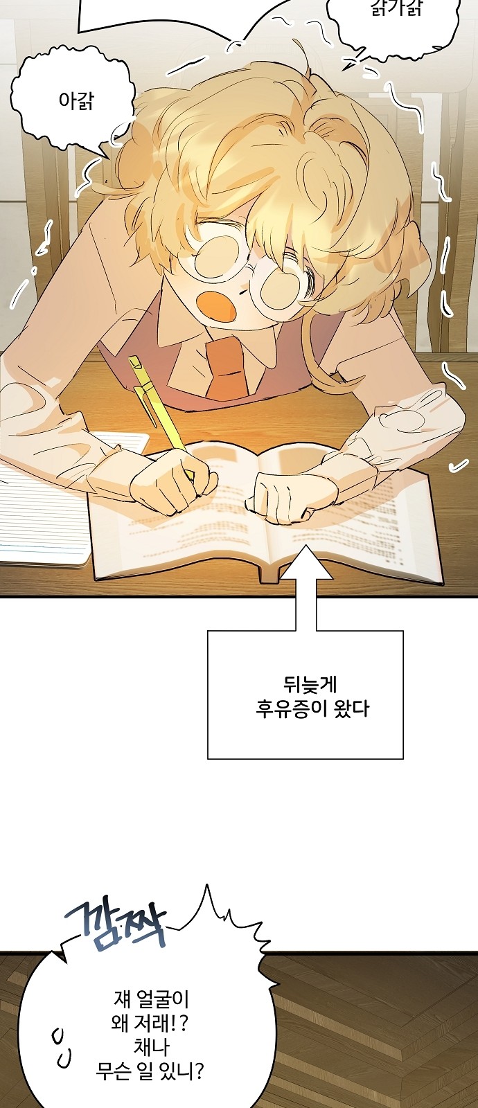 27 페이지