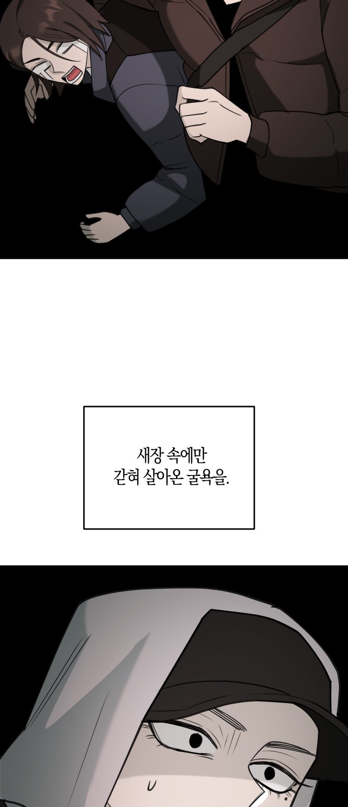 53 페이지