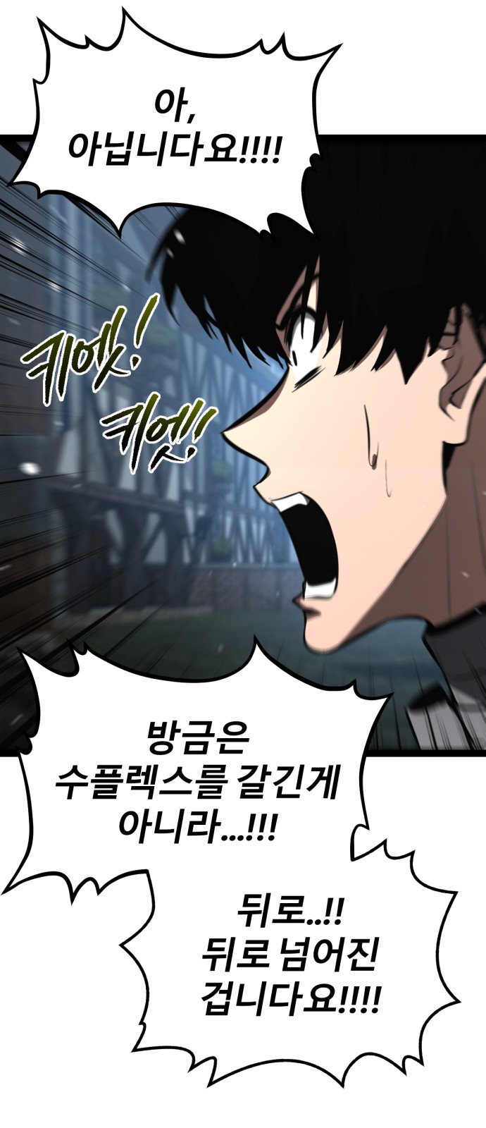 63 페이지