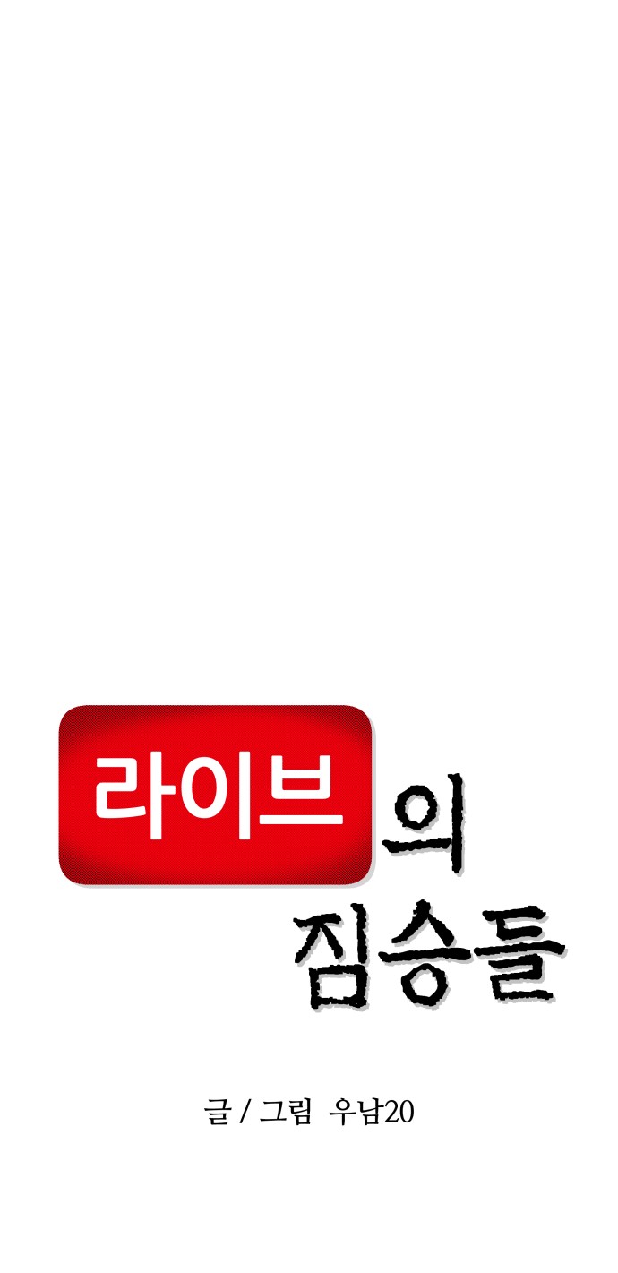 181 페이지