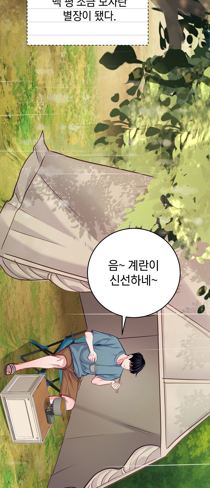 15 페이지