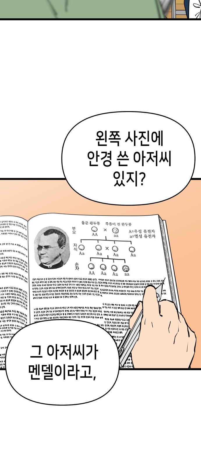 66 페이지