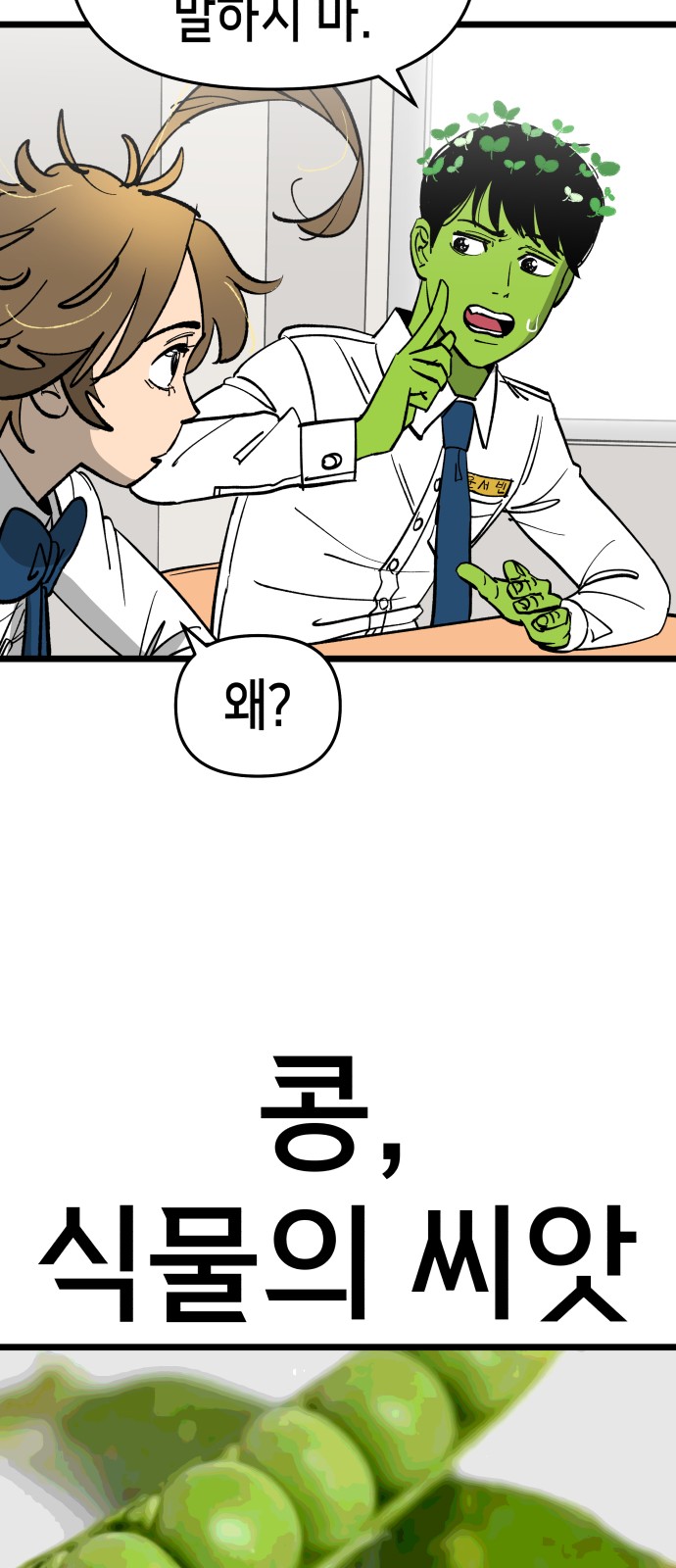 77 페이지