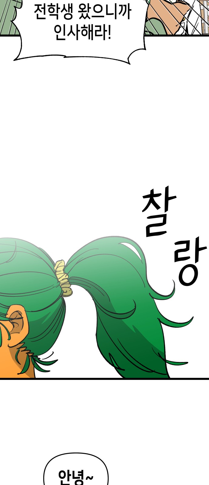 80 페이지