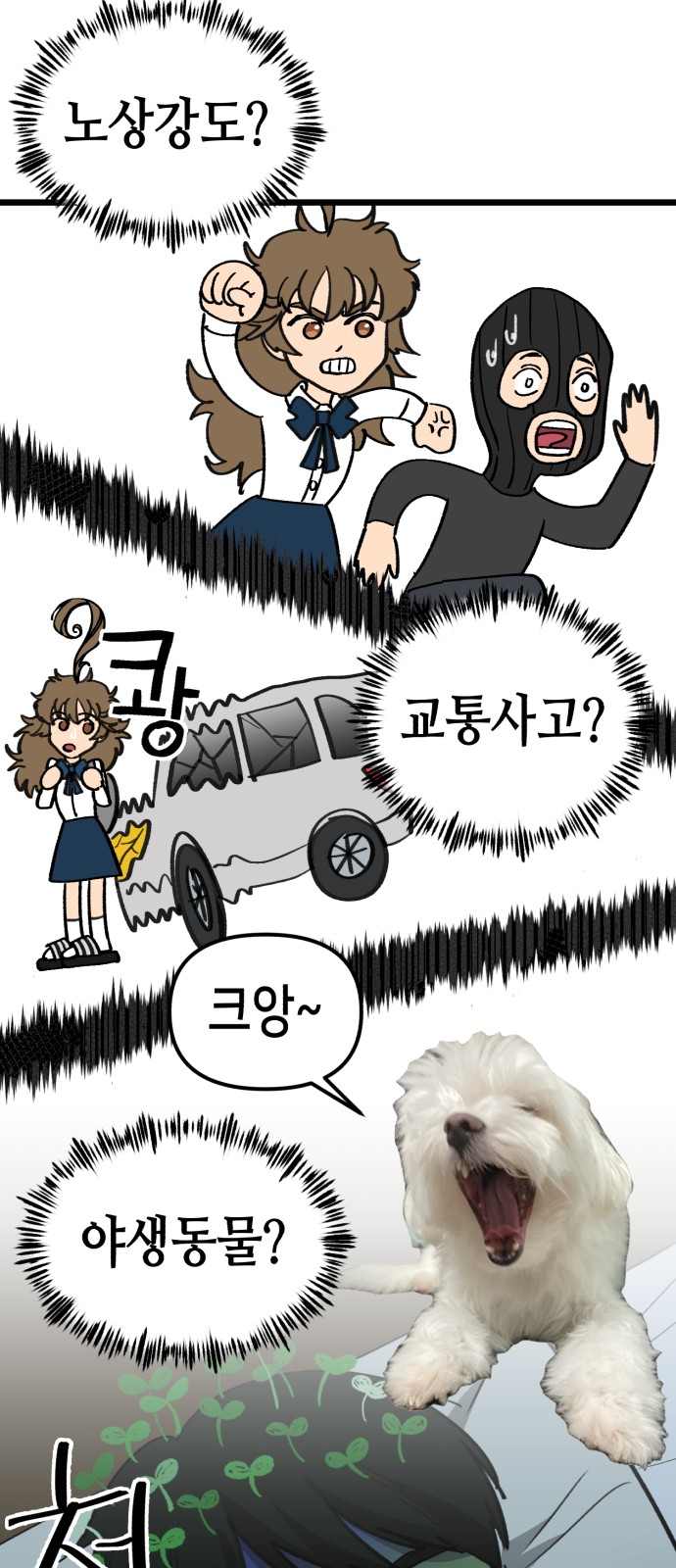 6 페이지