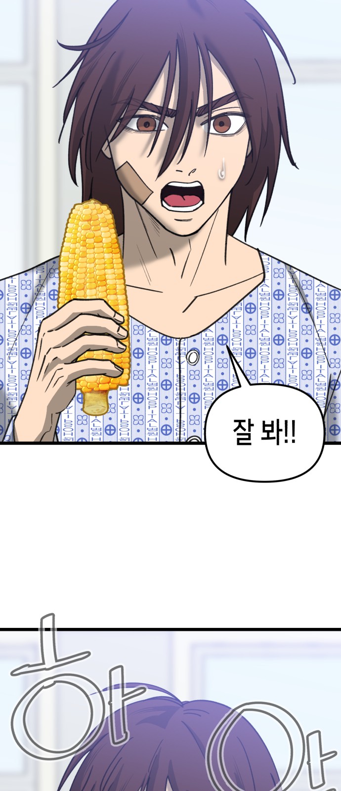 44 페이지