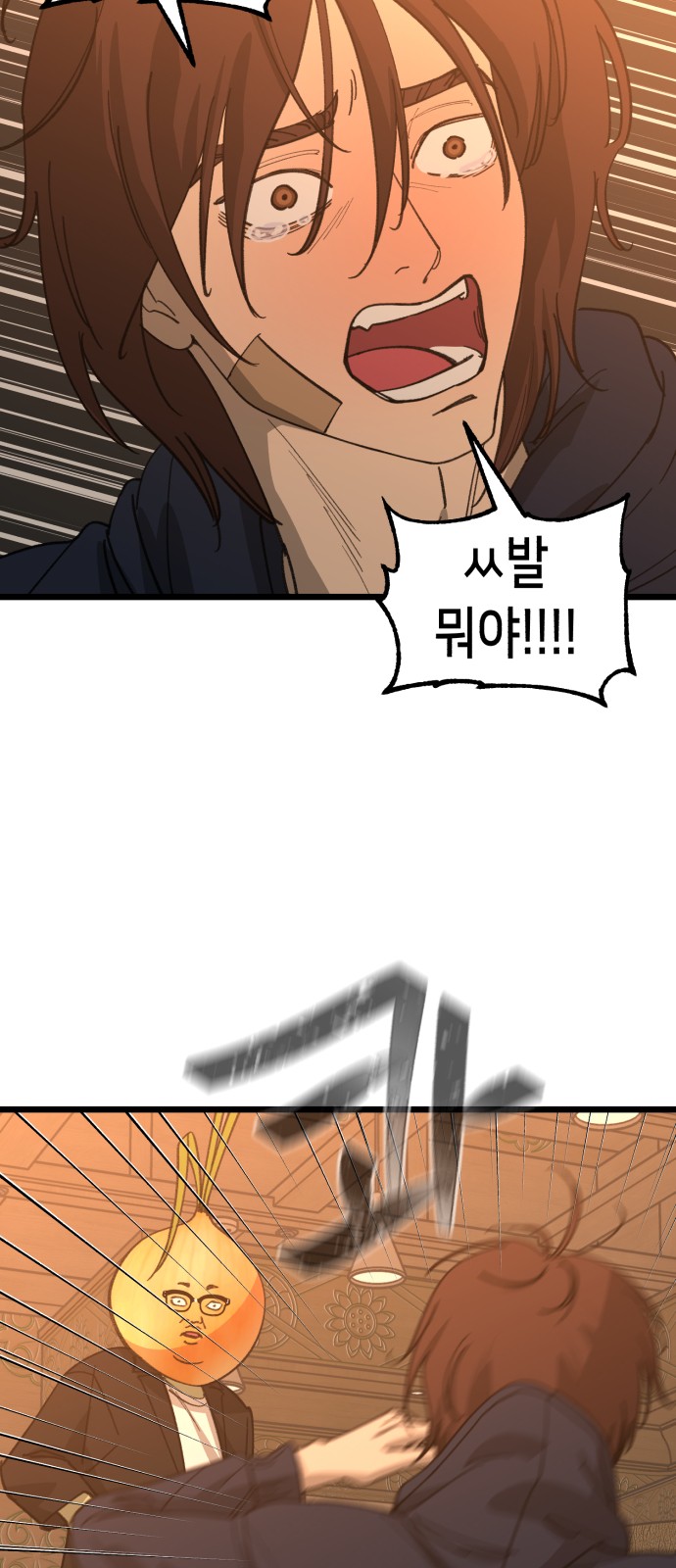 33 페이지