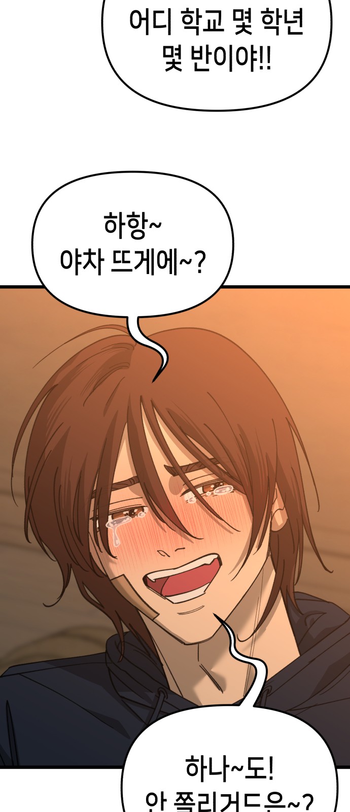 41 페이지