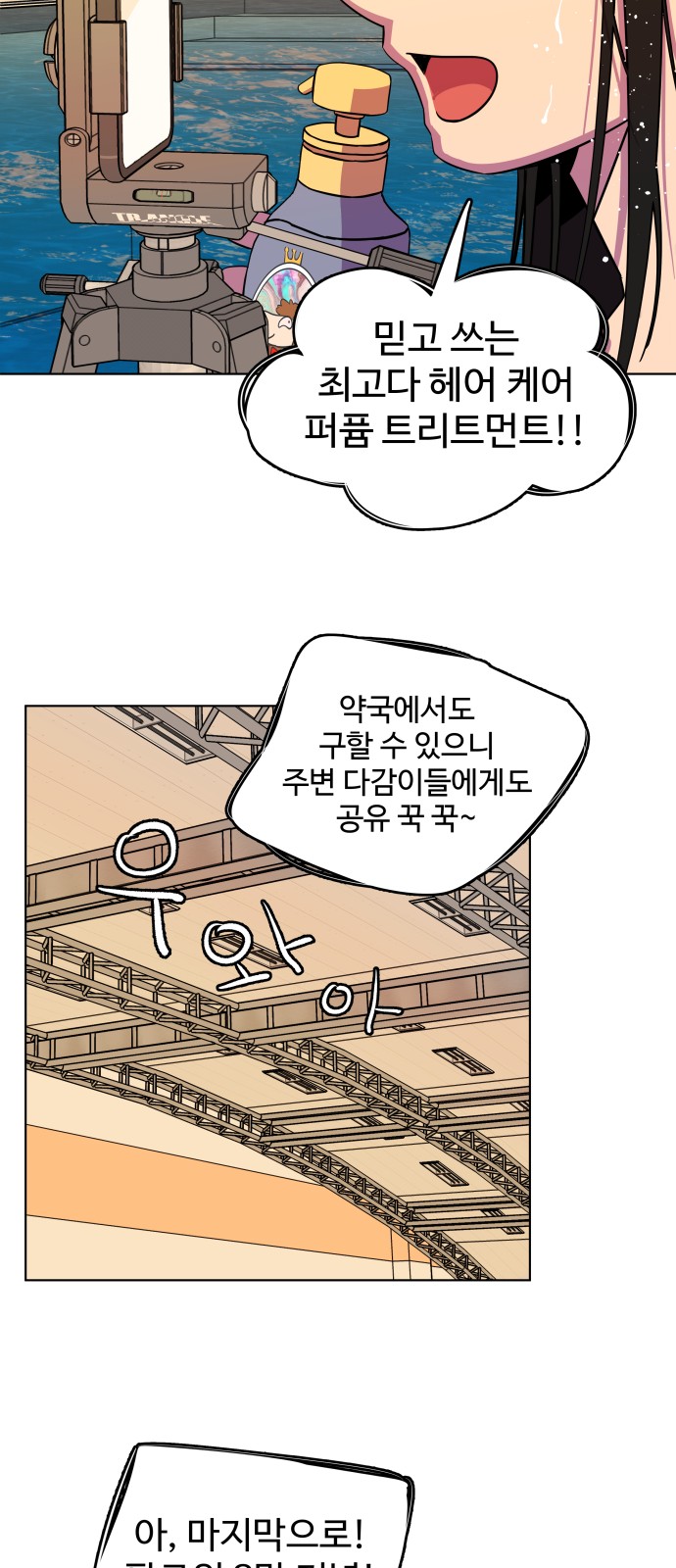 17 페이지