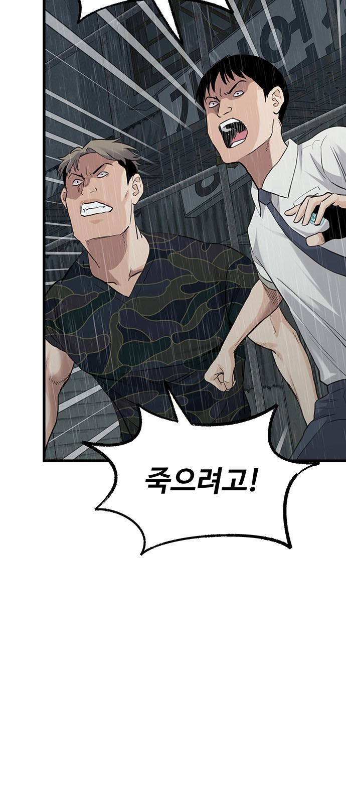 237 페이지