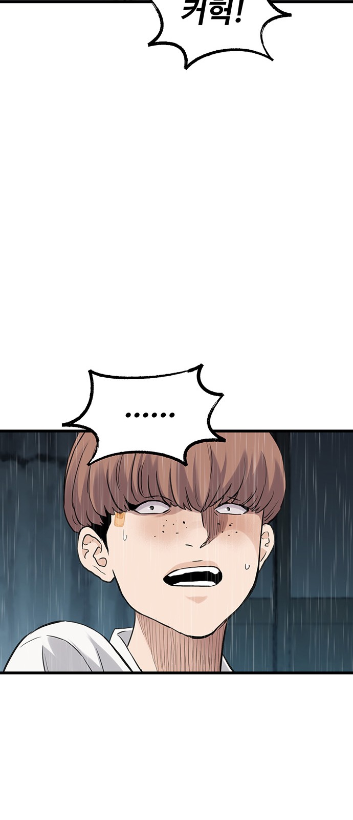 246 페이지