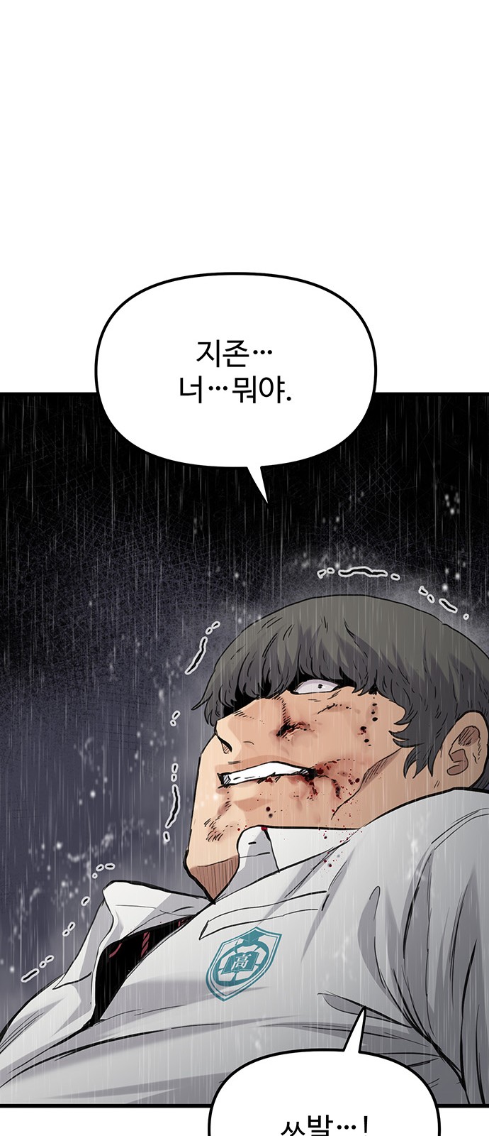 247 페이지