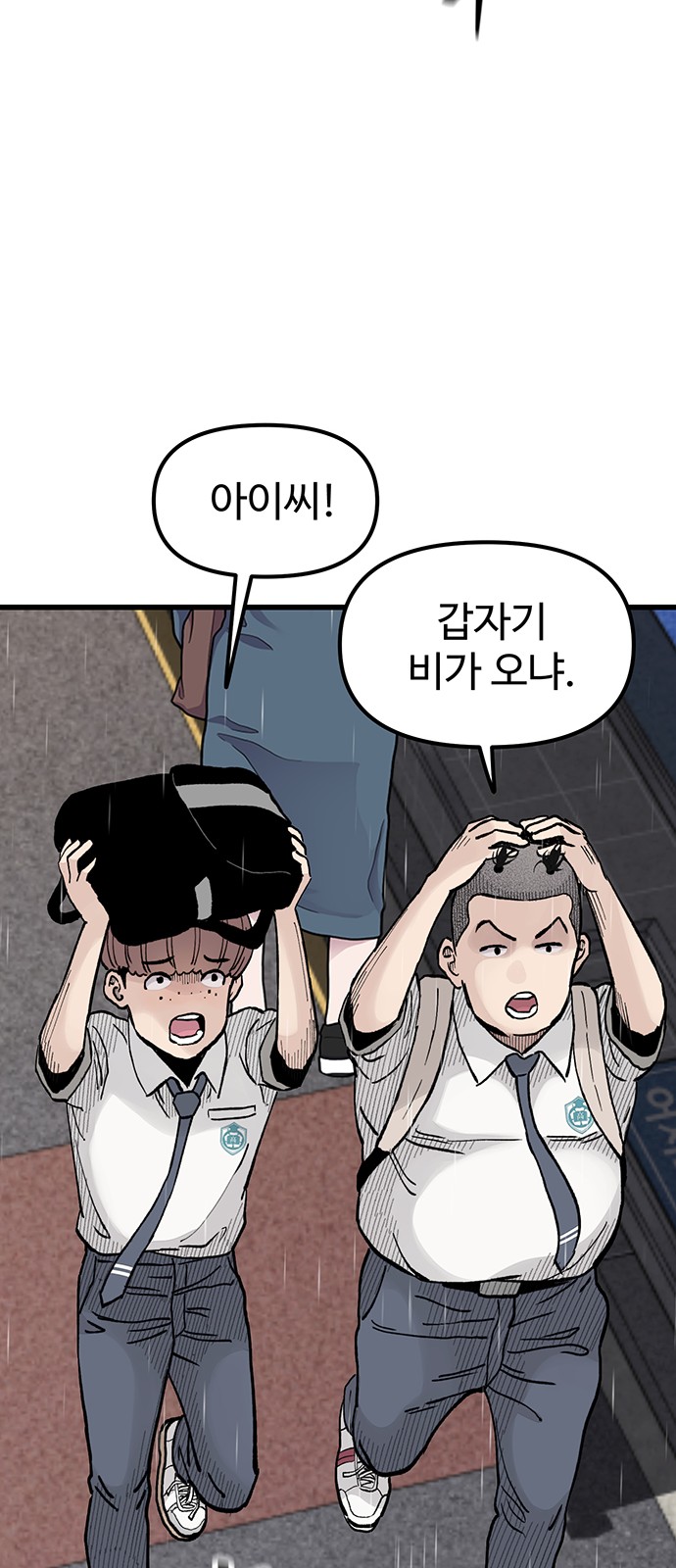 56 페이지