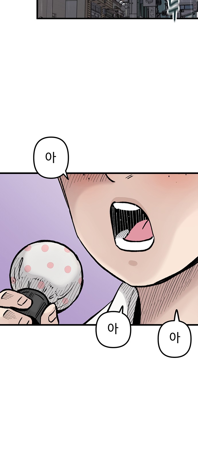 66 페이지