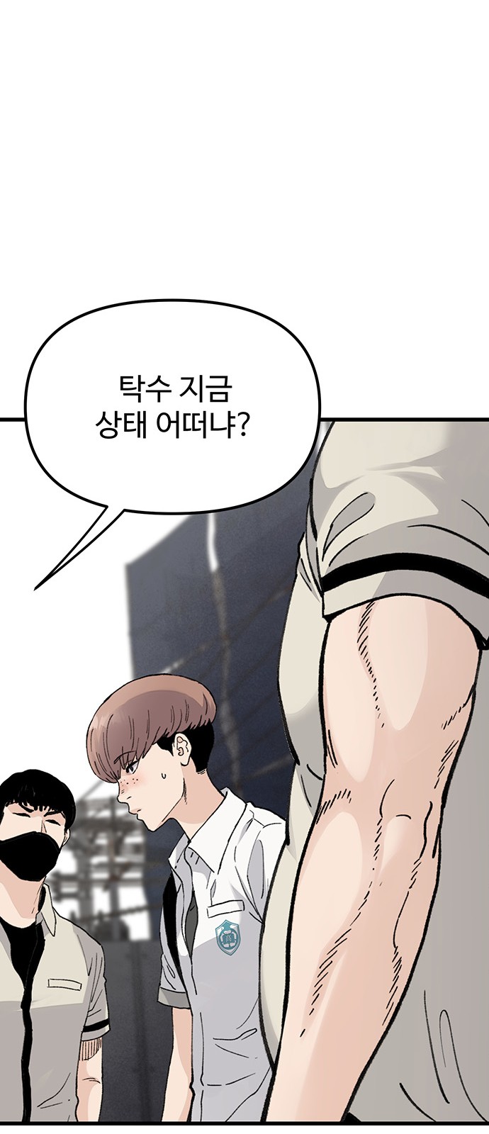 46 페이지