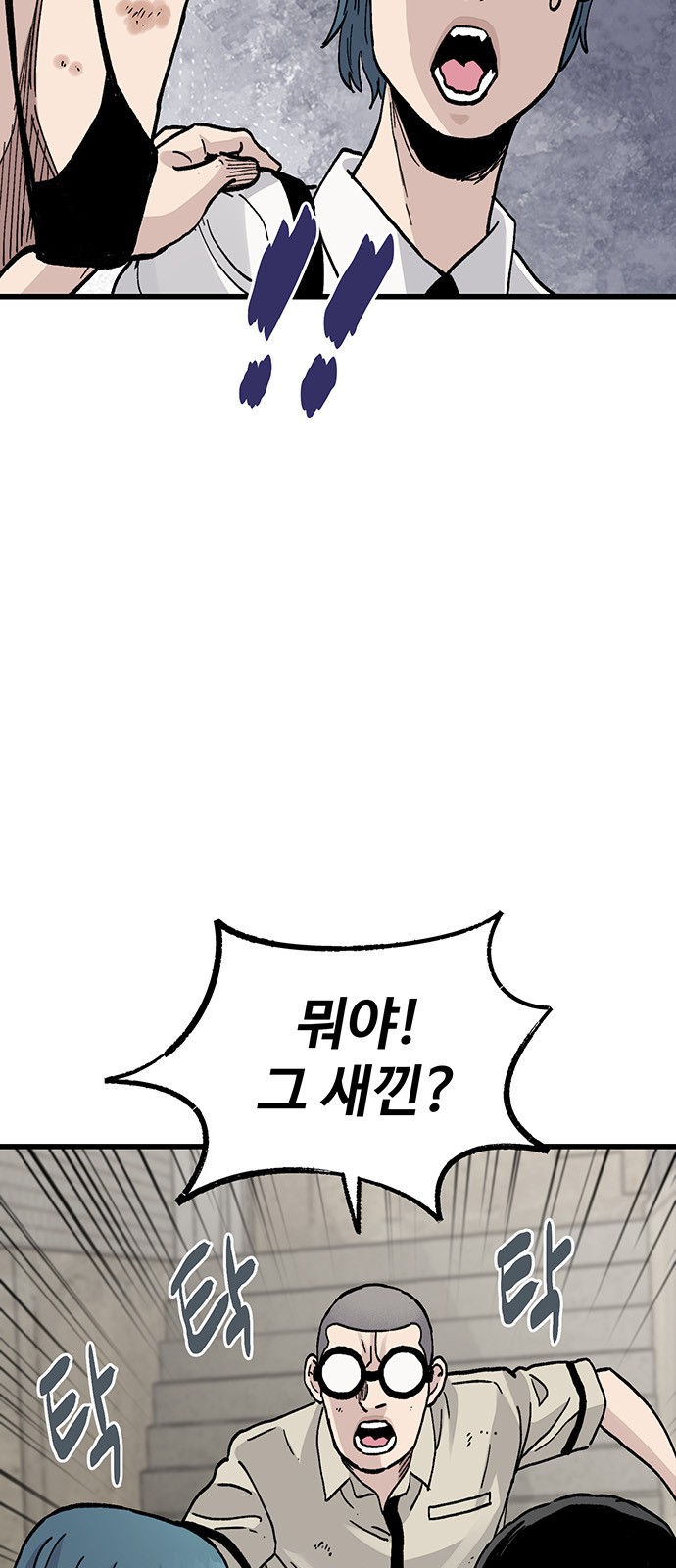 51 페이지