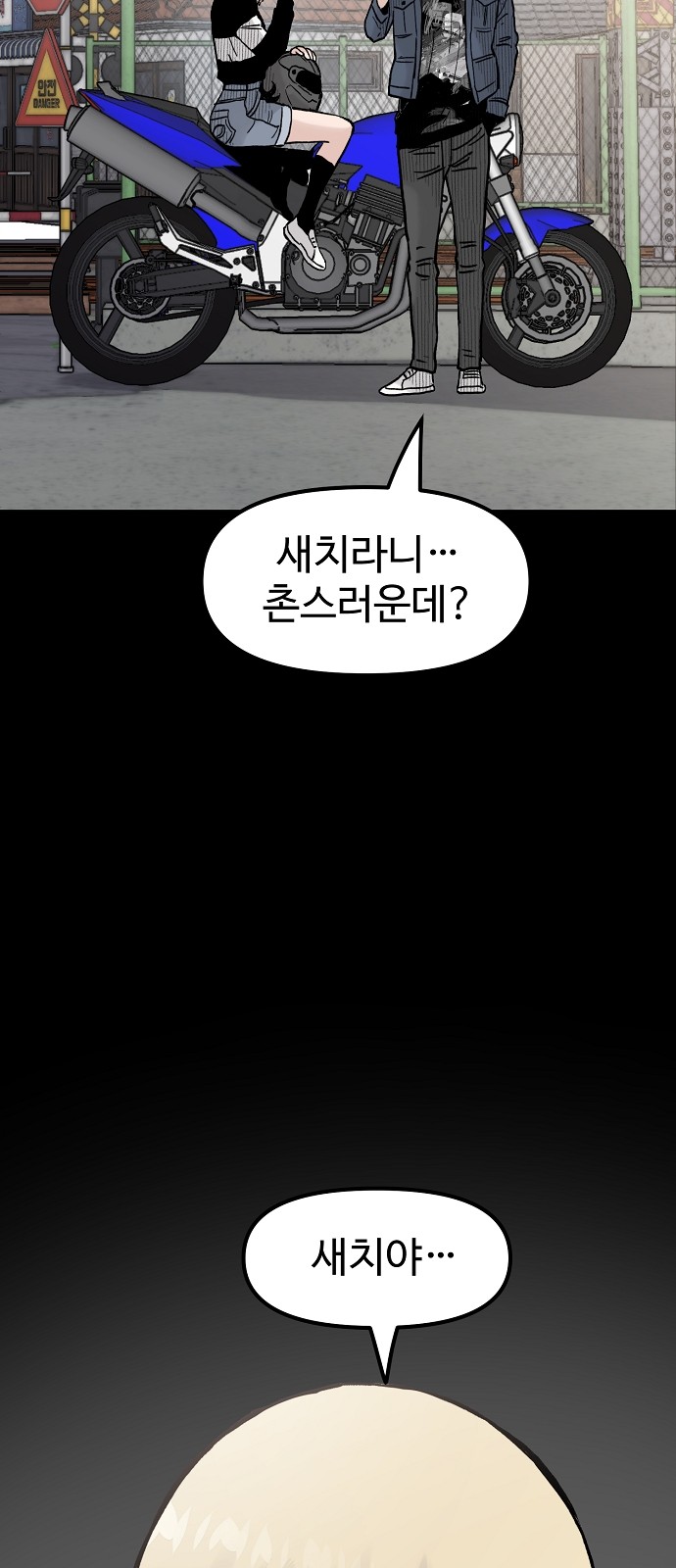 46 페이지