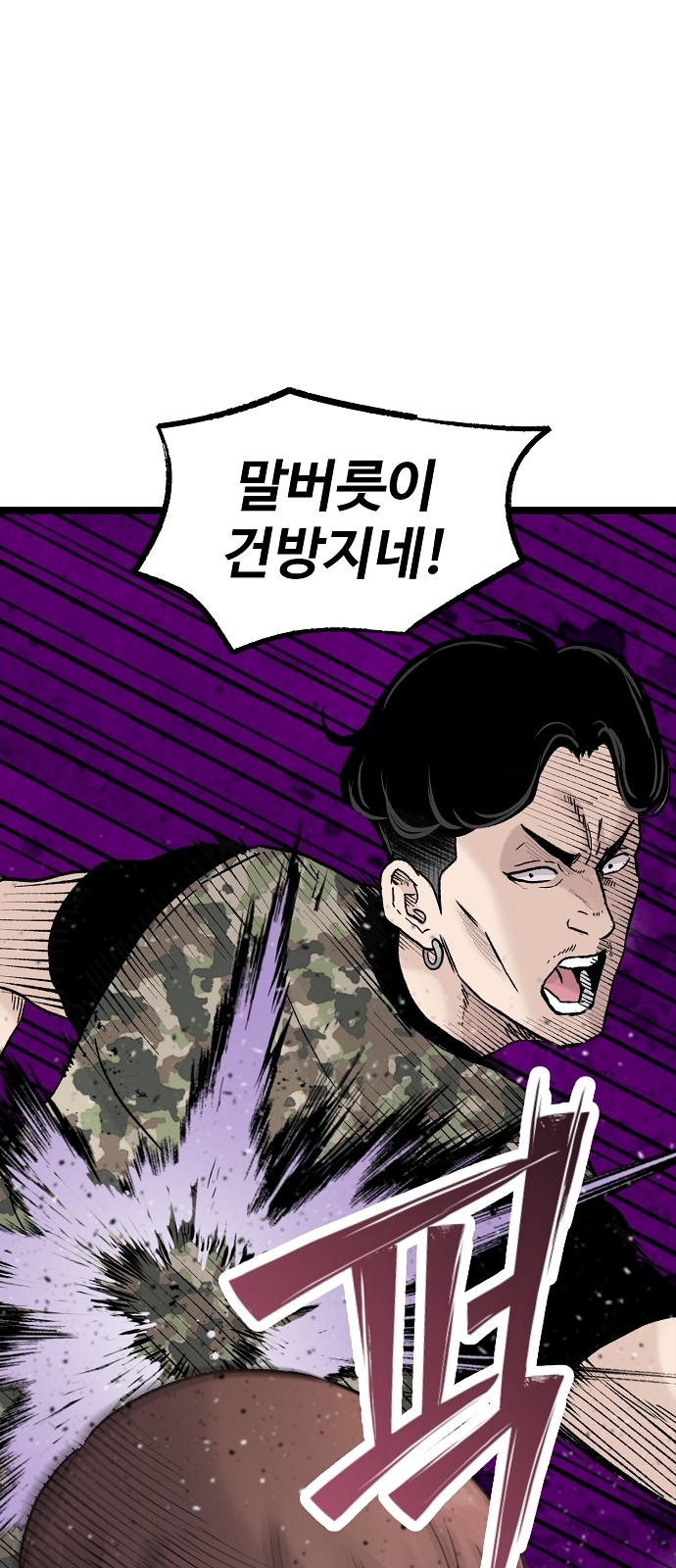 66 페이지
